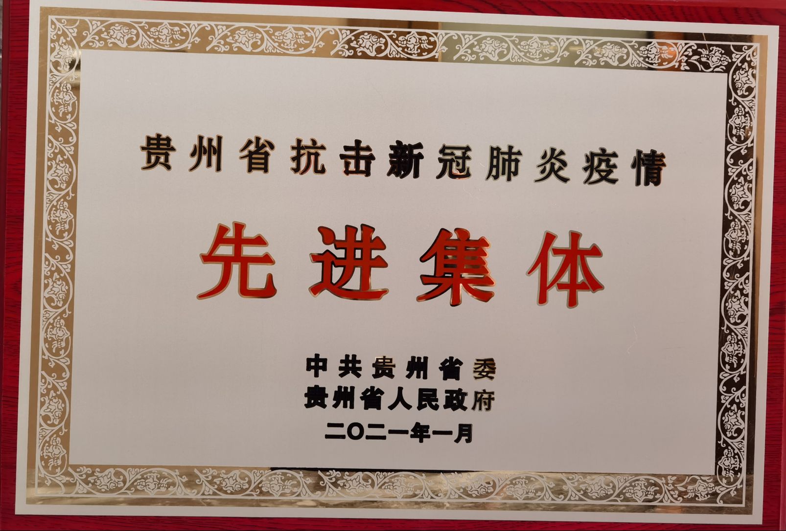 ​英国365集团公司荣获贵州省抗疫先进集体2